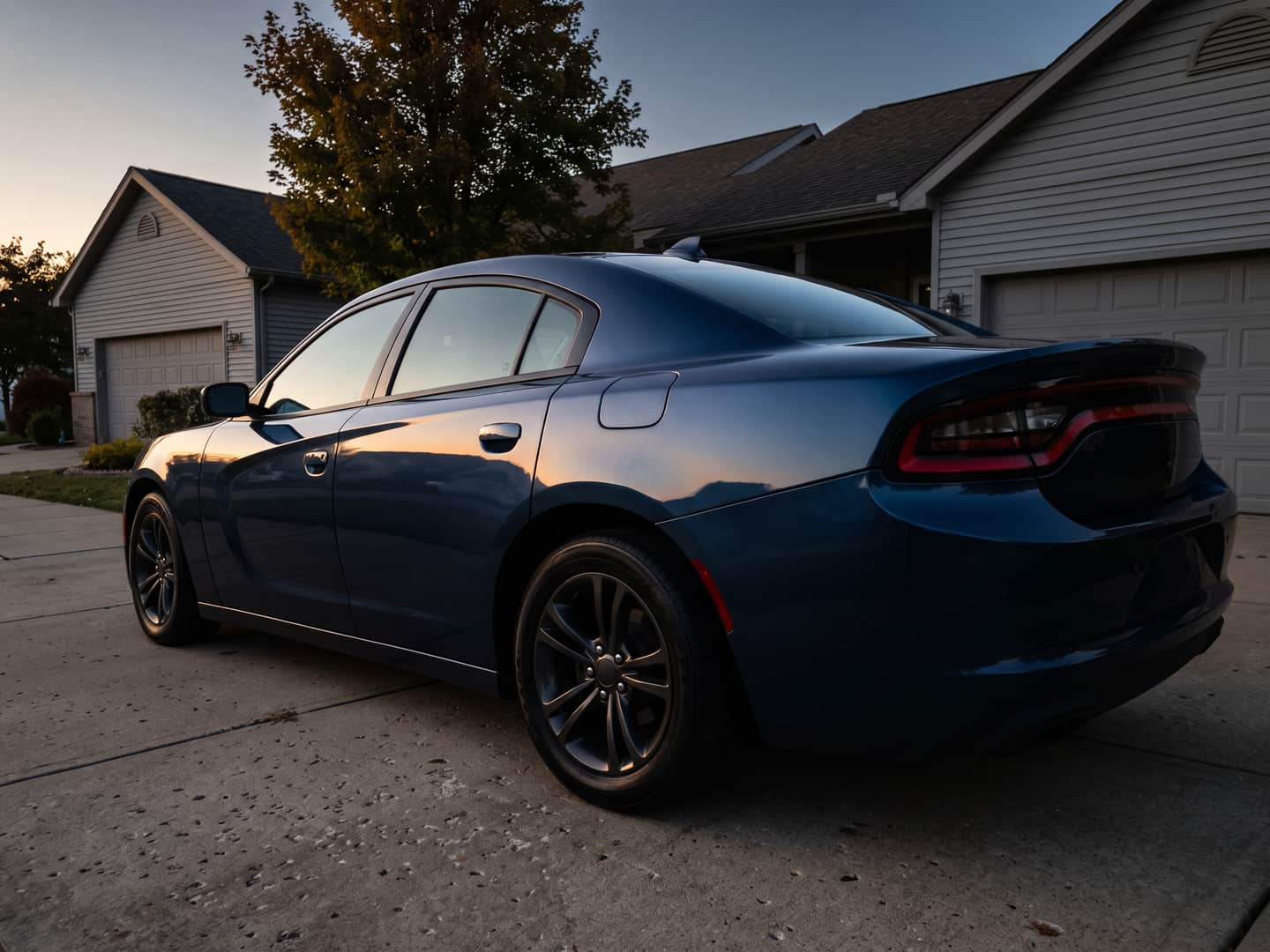 Dark car's rear quarter panel after paint correction, reflection bending cleanly along the body line